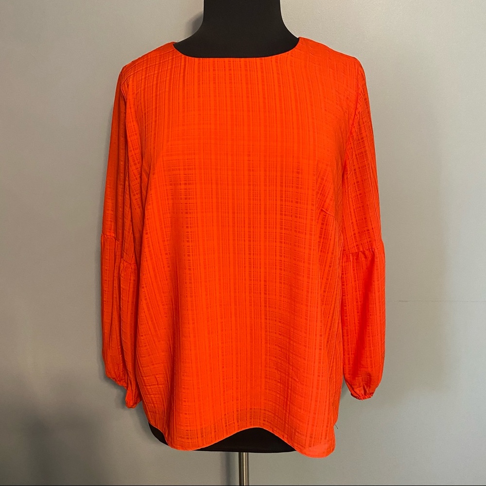 NEW INVESTMENTS plus size lined long sleeve blouse